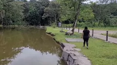 play Latina Amateur Fucked in the Ass by a Horse on the Farm